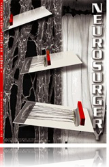 marco t silva publication neurosurgery 2007