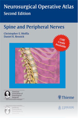 marco t silva anterior posterior lumbar interbody fusions